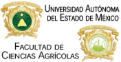 Univerisdad Autonoma el Etado de Mexico